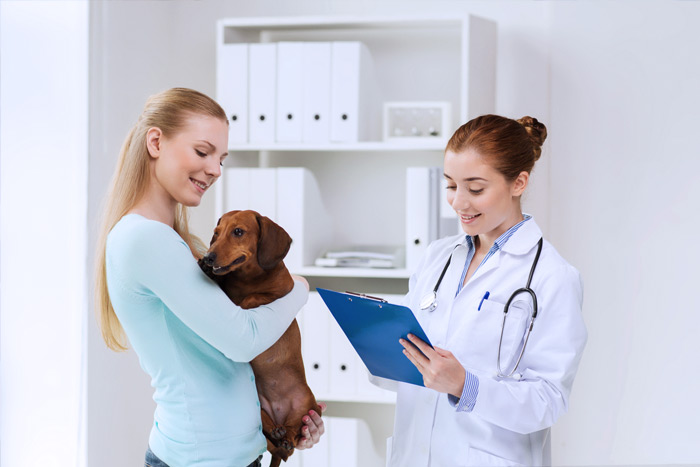 ЭЦП для оформления ветеринарных сертификатов (ГИС Меркурий) в Азове